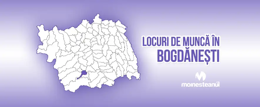 Vânzător (1 post)