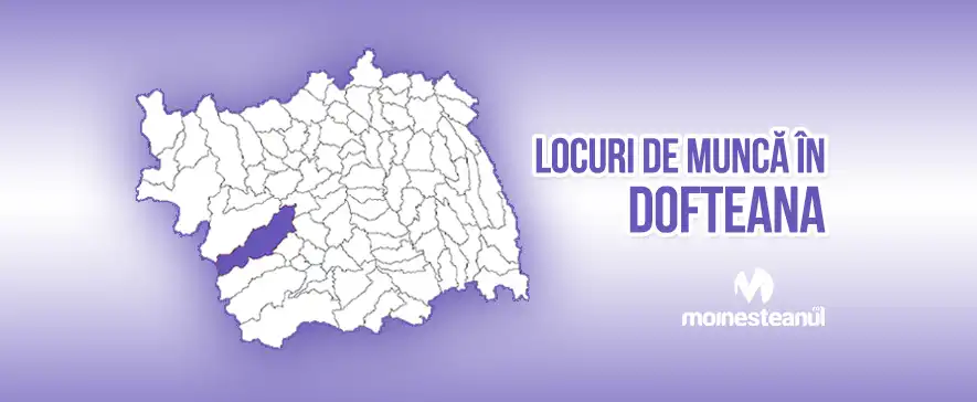 Conducător auto transport rutier de mărfuri (2 posturi)