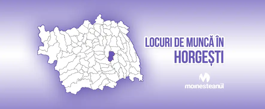 Muncitor necalificat la demolarea clădirilor, căptușeli zidărie, plăci mozaic, faianță, gresie, parchet (2 posturi)
