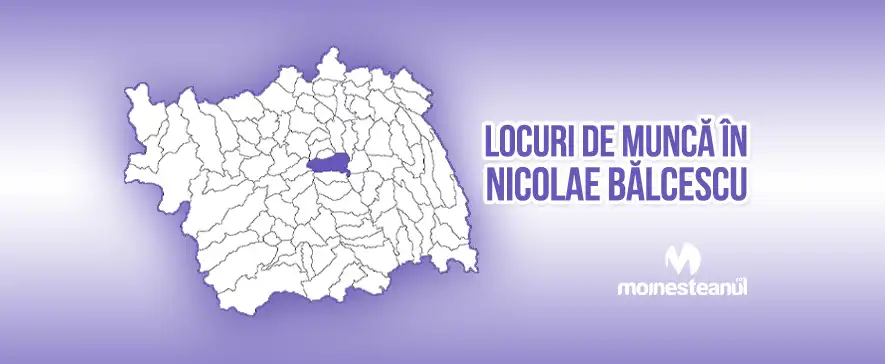 Gestionar depozit (1 post)