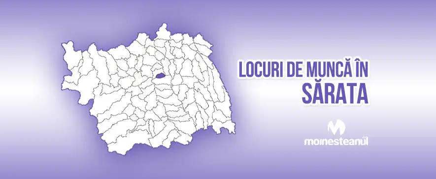 Mecanic întreținere și reparații mașini de cusut industriale (1 post)