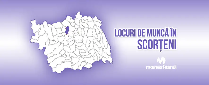 Vânzător (1 post)