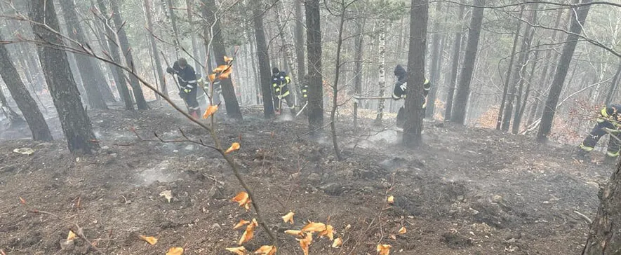 Incendiu de litieră în cadrul Ocolului Silvic Privat - Oituz