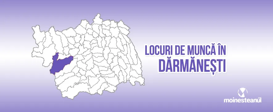 Primitor-distribuitor materiale și scule (3 posturi)
