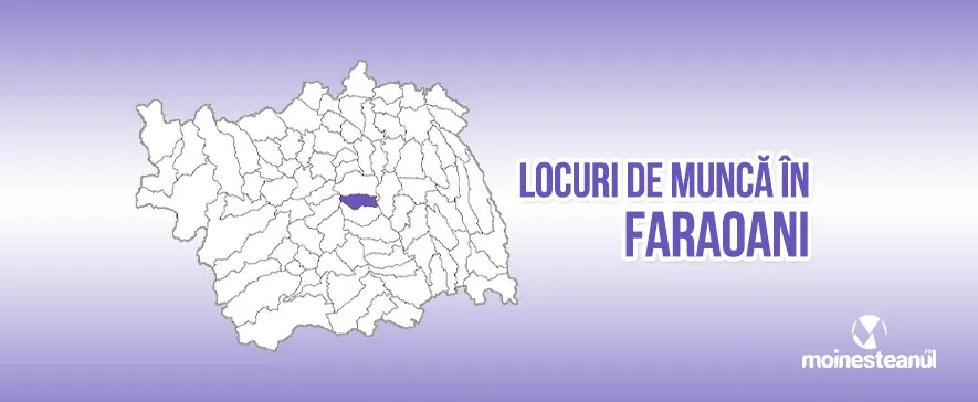 Agent reclamă publicitară (1 post)