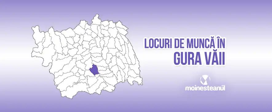 Lucrător comercial (3 posturi)