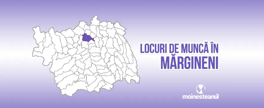 Confecționer-asamblor articole din textile (2 posturi)