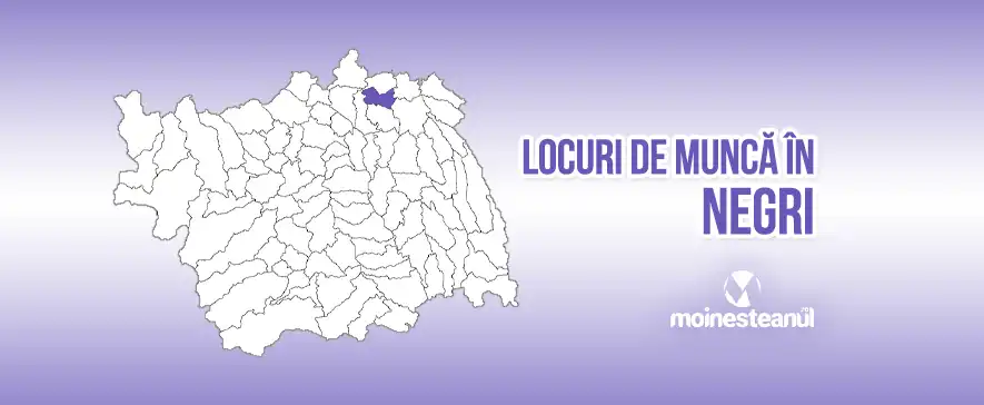 Angajări și locuri de muncă în comuna Negri, județul Bacău.