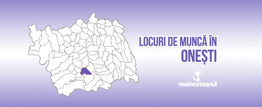 Ajutor bucătar (1 post)