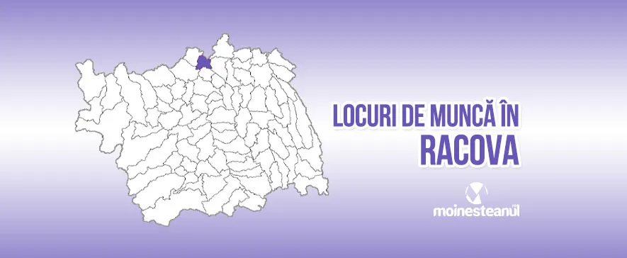 Lăcătuș mecanic (3 posturi)