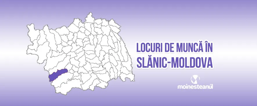 Ospătar (Chelner) (1 post)