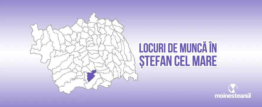 Angajări și locuri de muncă în comuna Ștefan cel Mare, județul Bacău.