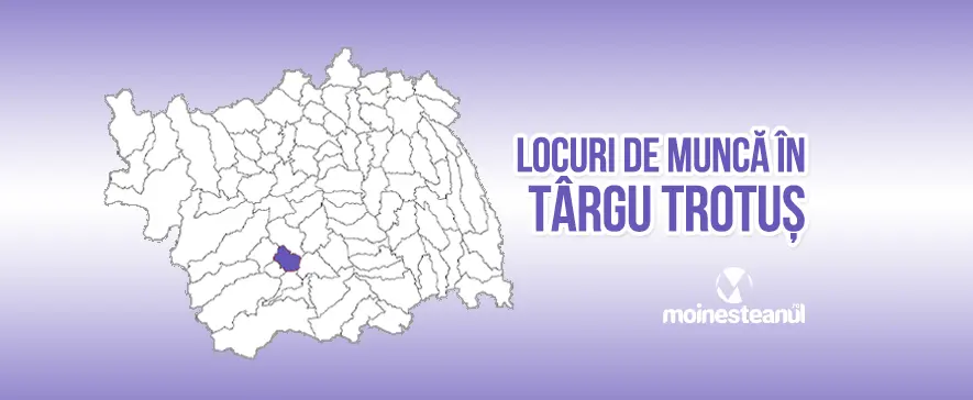 Angajări și locuri de muncă în comuna Târgu Trotuș, Județul Bacău