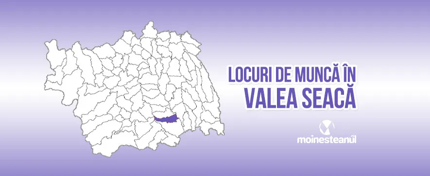 Conducător auto transport rutier de mărfuri (1 post)
