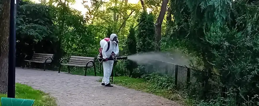 Lucrări de dezinsecție în toate parcurile și spațiile verzi din Moinești. Acțiunea urmărește reducerea populației de țânțari și creșterea confortului public