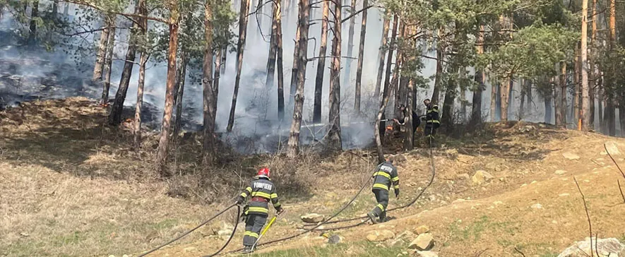 Incendiu la Târgu Ocna: Pompierii acționează pentru lichidarea focului în fondul forestier