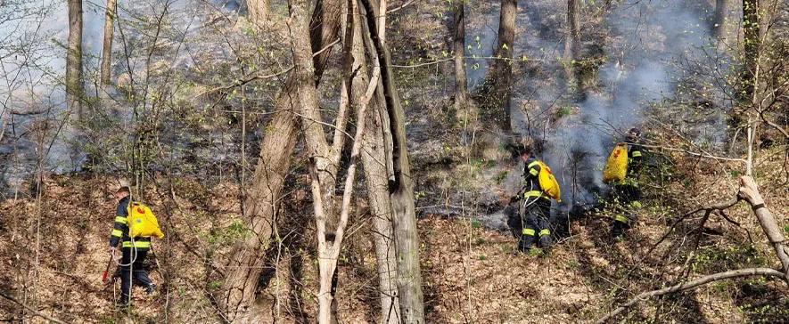 UPDATE - Incendiu la Târgu Ocna: Eforturi susținute pentru stingerea flăcărilor